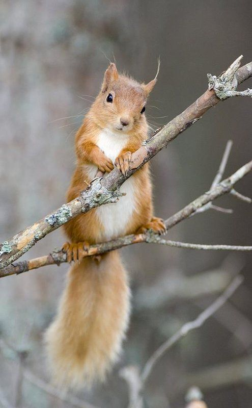 Beautiful & Captivating Wildlife Photos