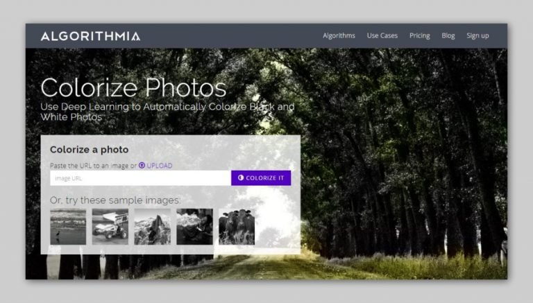 5 Best Websites To Colorize Black And White Photos Online