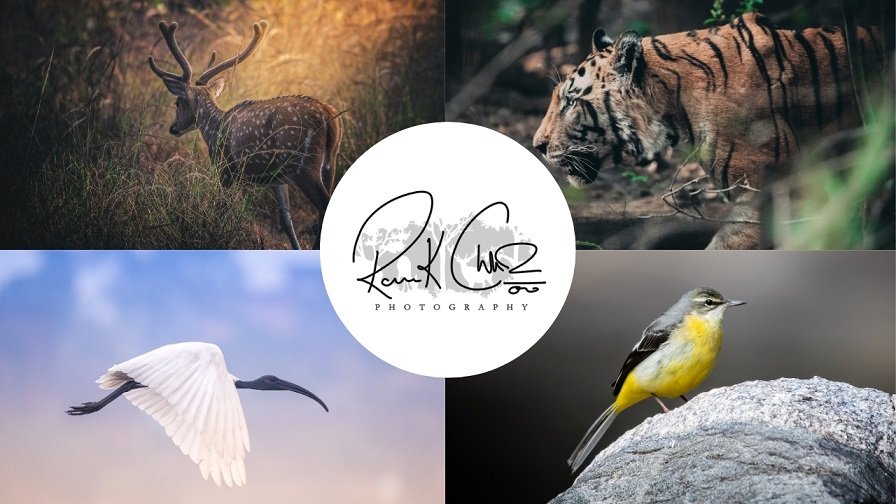 photography logo