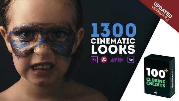 1300 cinematic looks - Best Premiere Pro Color Grading Presets