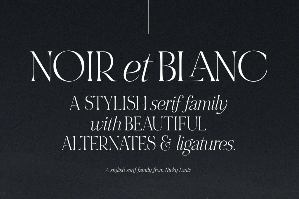 Noir et Blanc Expressive Fonts