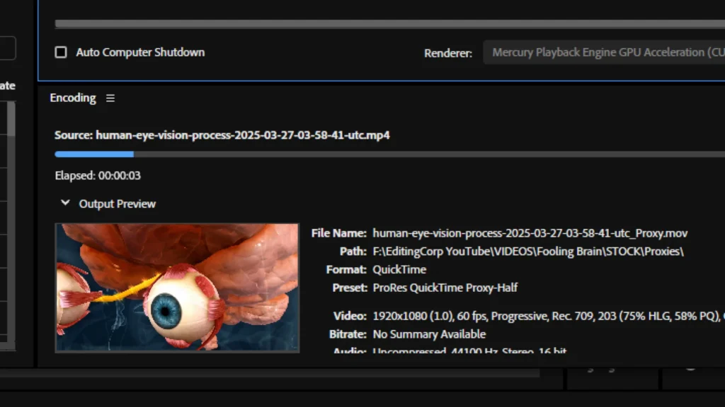 Proxy Files