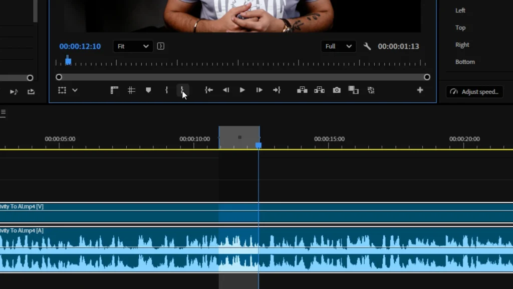 Step 1: Mark The Section In Premiere Pro