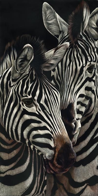 Beautiful & Captivating Wildlife Photos