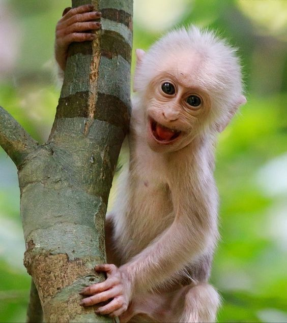 Beautiful & Captivating Wildlife Photos