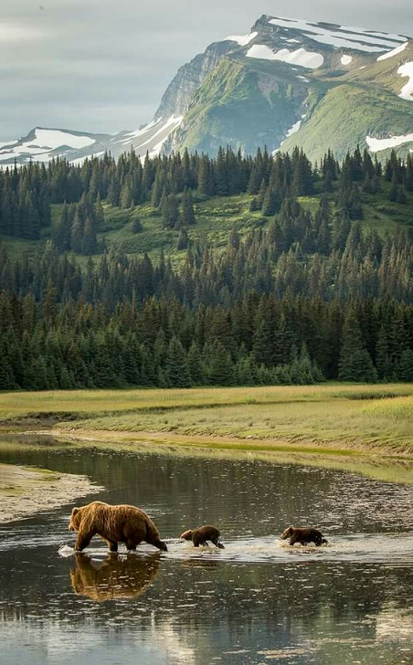 Beautiful & Captivating Wildlife Photos