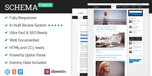 schema wordpress blog theme