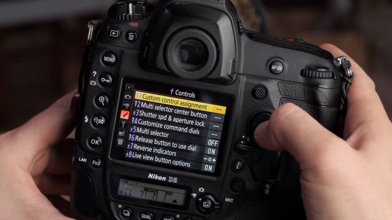 dslr camera settings - Wildlife Photography Tips