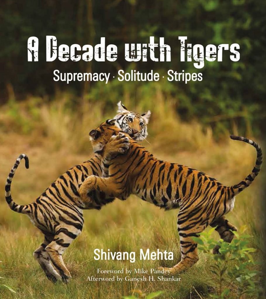 A decade with Tigers