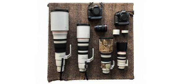 telephoto lenses for wildlife photography
