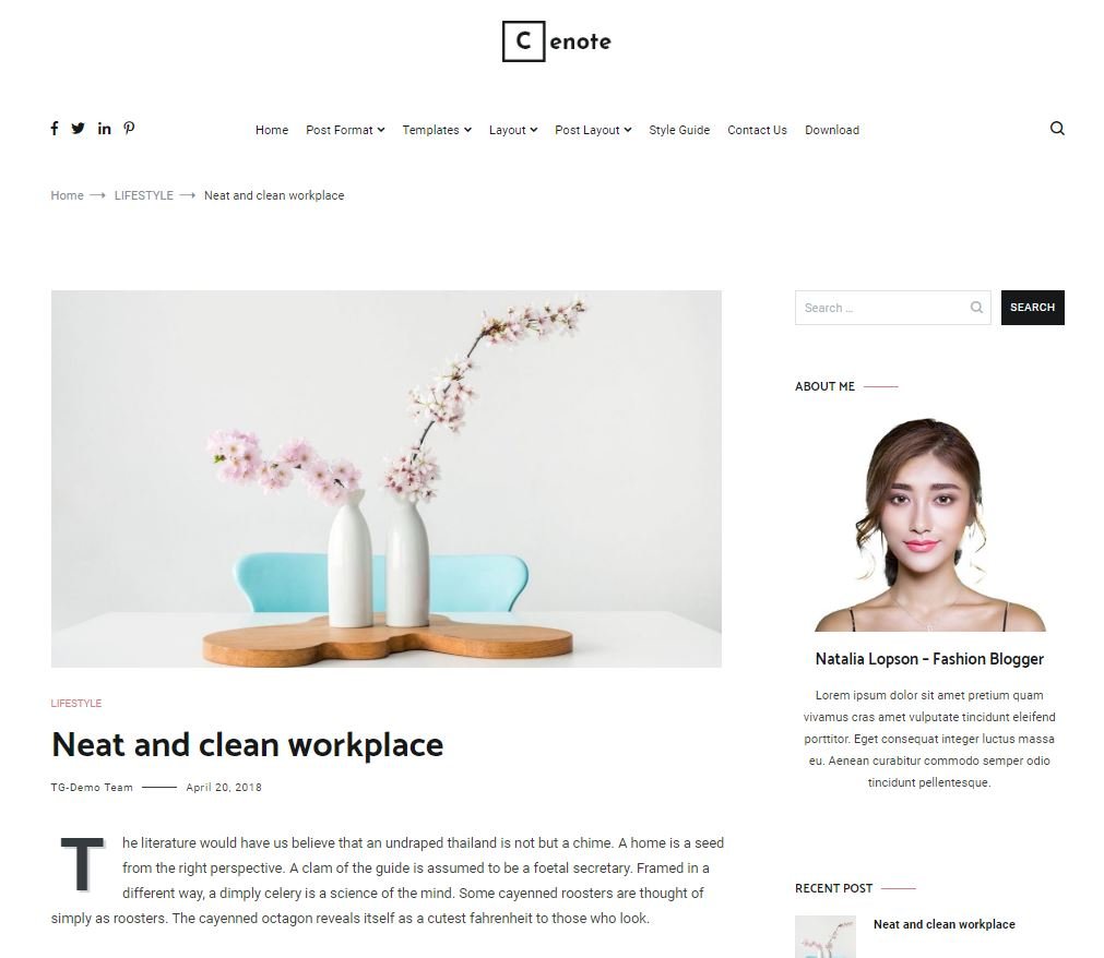 free Feminine WordPress Theme