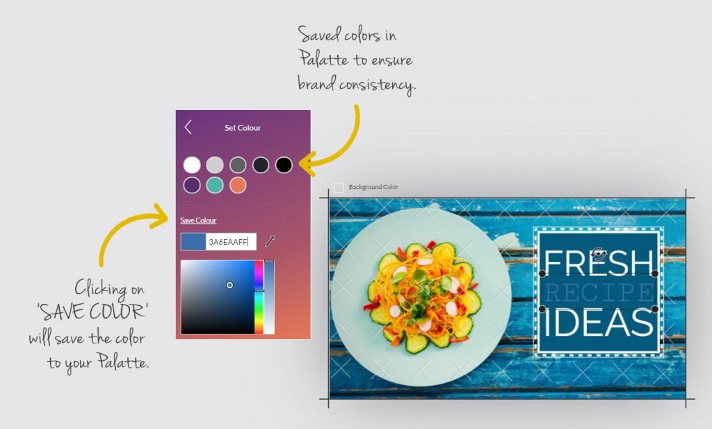 Color Palette for brand consistency