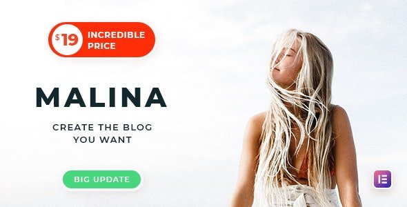 malina wordpress blog theme