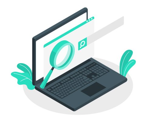 seo optimization