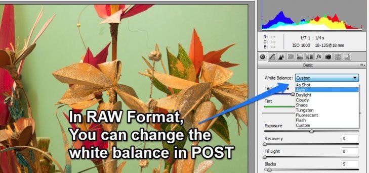 Set your DSLR White Balance Properly