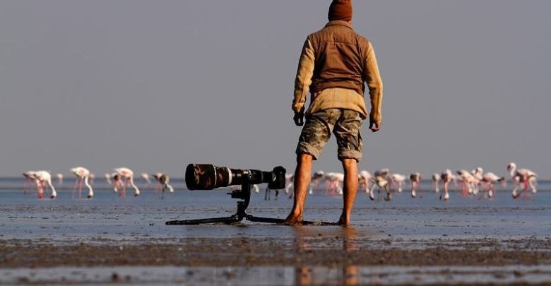 Wildlife Photography Tips
