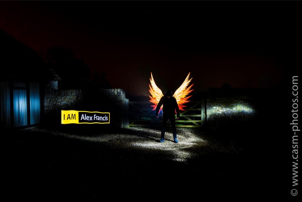 wings